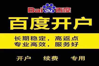 成功案例：一家初创企业如何通过百度关键词推广快速崛起